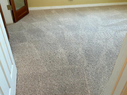 T.I.P Carpet & Upholstery Cleaning carpet cleaning in pearland